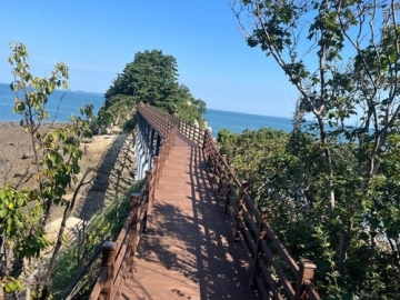 \"옹진군 자월도 목섬 구름다리...가을 바람과 함께 걷는 꿈같은 다리\"