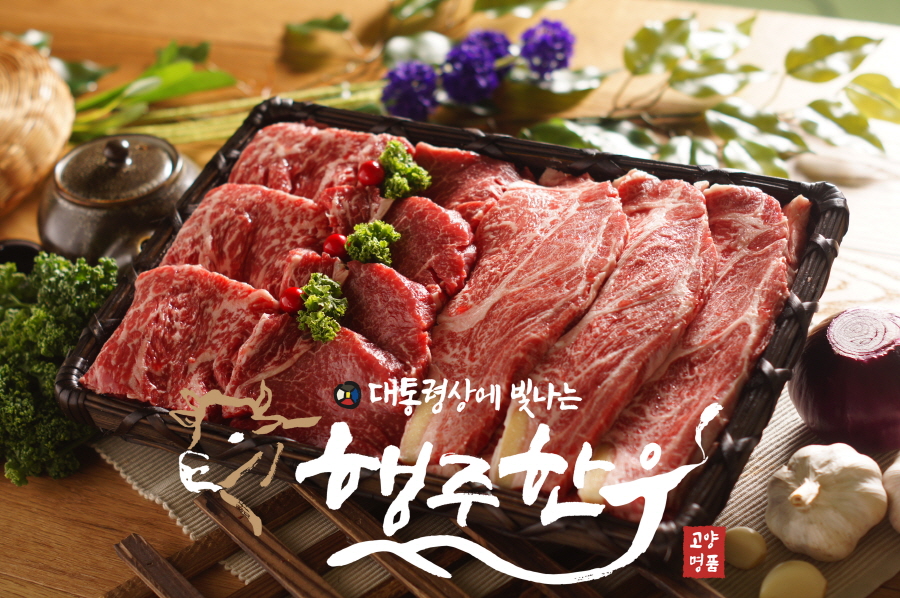 고양, 꽃과 한우로 다시 뜬다