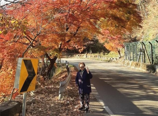 기아 초록여행, 장애인 가정에 낭만을 찾아 떠나는 ‘가을 여행’ 지원