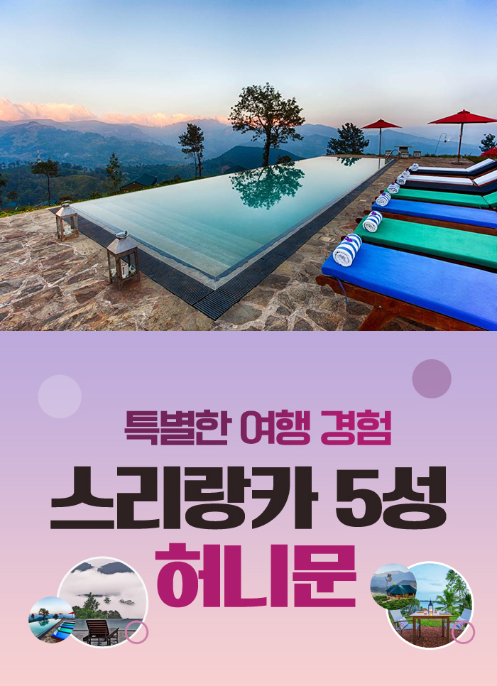 스리랑카에서의 특별한 허니문, 5성급 럭셔리와 문화 탐방