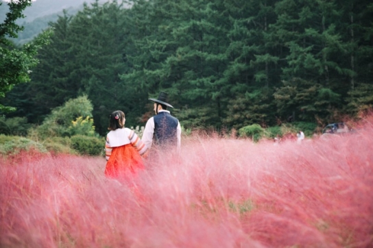 아침고요수목원, 한복 이벤트 ‘한복여행’ 개최...11월 30일까지