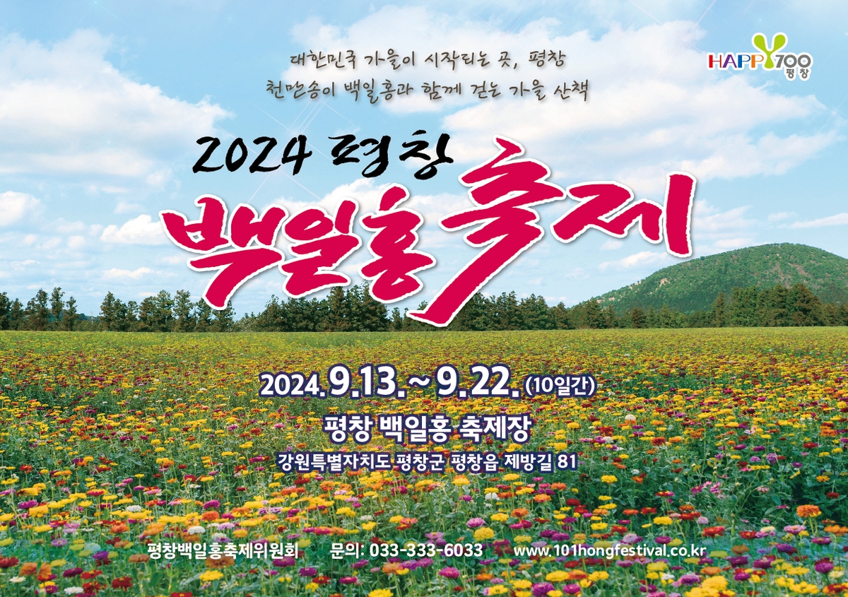평창강 둔치에서 펼쳐지는 백일홍 축제, 가을 산책을 물들이다