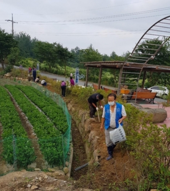 상금마을, 바둑과 자연이 어우러진 청정전남의 힐링 명소