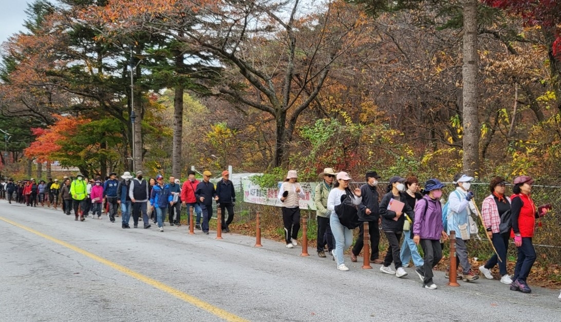 속리산 둘레길, 제6회 걷기 축제 11월 2일 개최