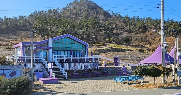 신안 퍼플섬 반월카페, 주민과 관광객의 쉼터로 자리 잡다