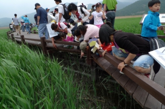 순천만, 여름방학 1박2일 에코힐링캠프 운영