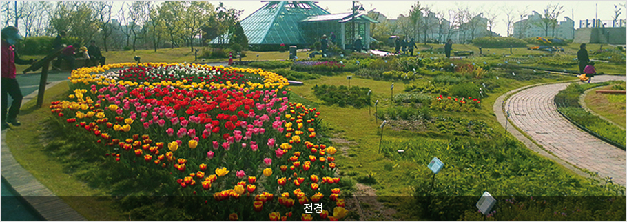 서울시 강동구 명소...3. 일자산 허브천문공원, 다양한 별자리 조명과 천문 프로그램 인기