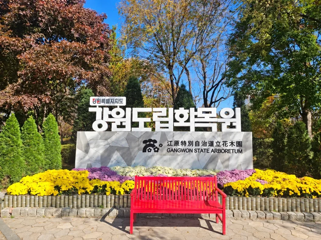 강원도립화목원 입구 표지석과 그 주변에 다채롭게 배열된 국화꽃들, 그 앞에 빨간 벤치가 놓여 있음
