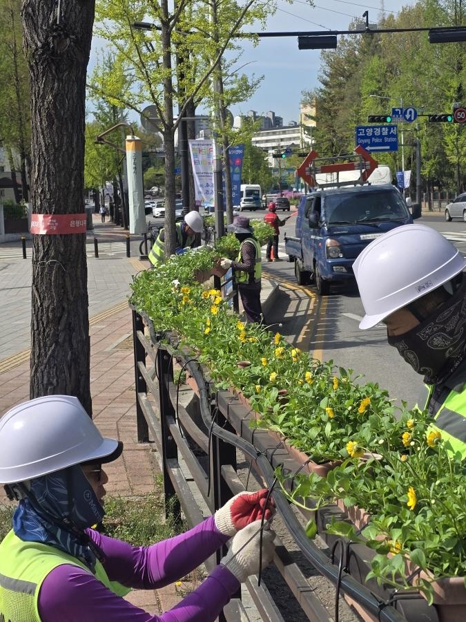 고양의 봄은 길에서 먼저 핀다