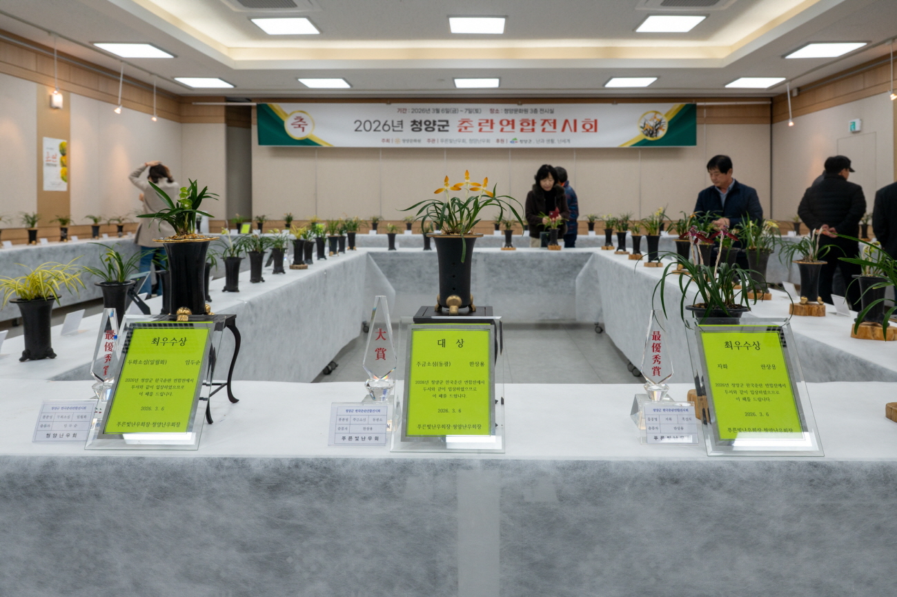꽃보다 강했다…청양 춘란의 봄
