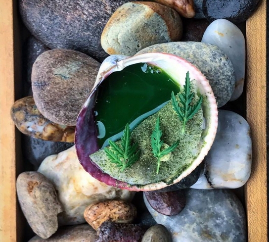 셰프 조셉 리저우드, 세계 각지에서 모인 팀들과, 지리산, 목포 등 한국 여행하며 식재료 연구