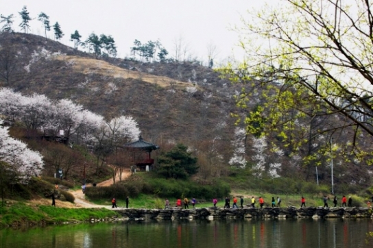 5월 셋째주 \'나눔여행\' - 인제, 담양, 진천, 공주, 창녕
