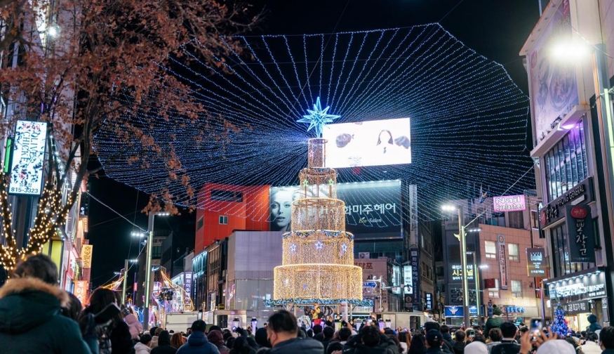 부산 크리스마스트리문화축제 횡령 사태, 관리·감독의 실패