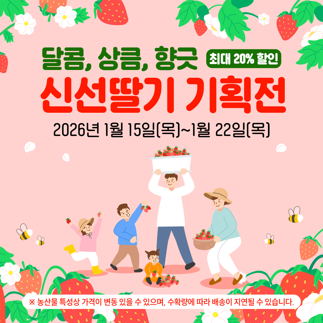 겨울의 단맛을 집으로… 곡성 딸기, 온라인 장터에서 제철을 만나다