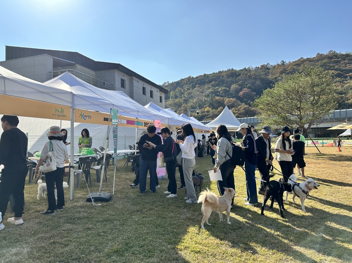 경남 합천, 반려동물 친화 관광지 \'멍스테이\' 인기 급증