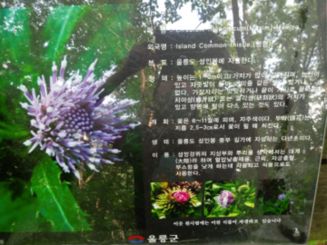 1623323965465-0.jpg
