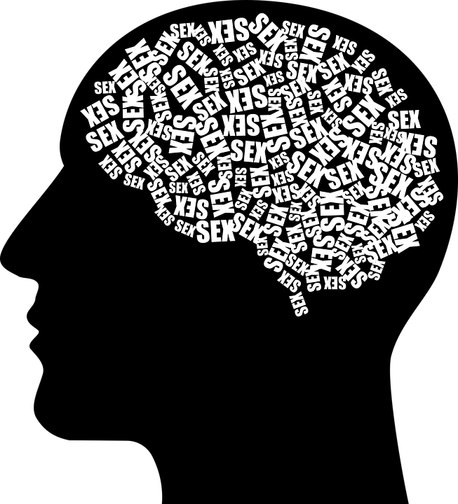 cranium-2952566_960_720.png
