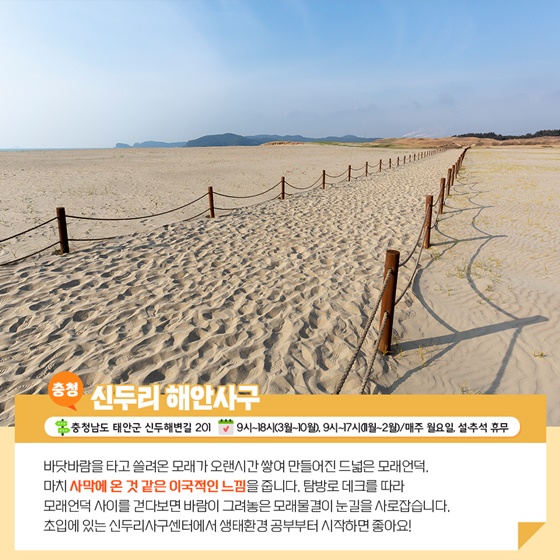 03.jpg
