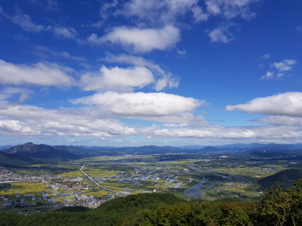 곡성1.jpg