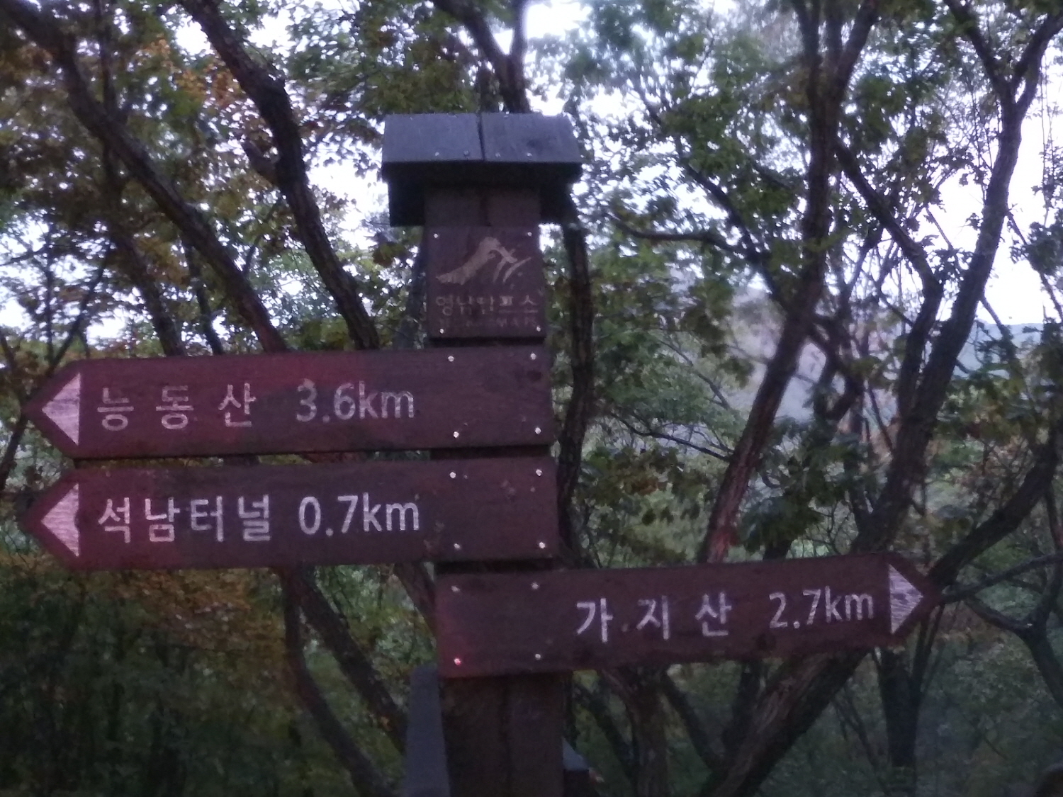 [꾸미기]GOPR1902.JPG
