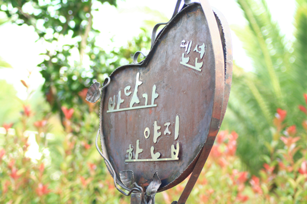 제주3.jpg