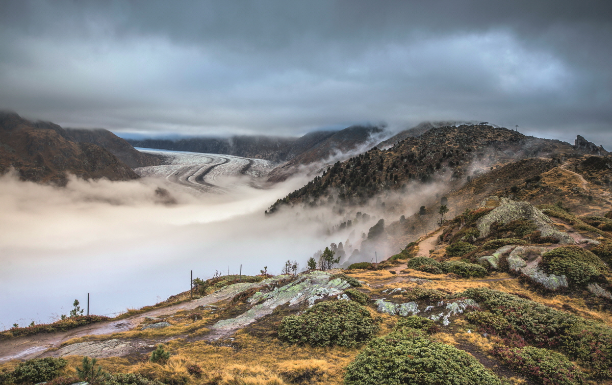 크기변환_Aletsch_ST0041312.jpg