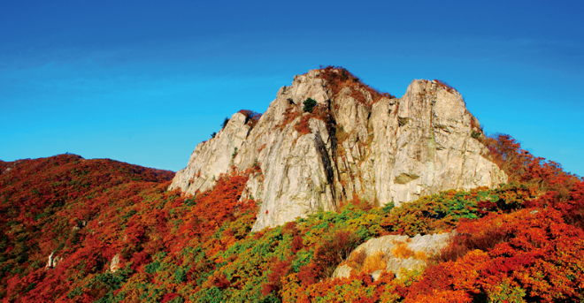 가지산1.png