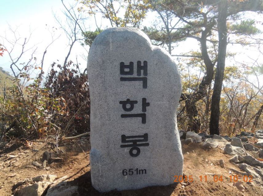 백6.JPG