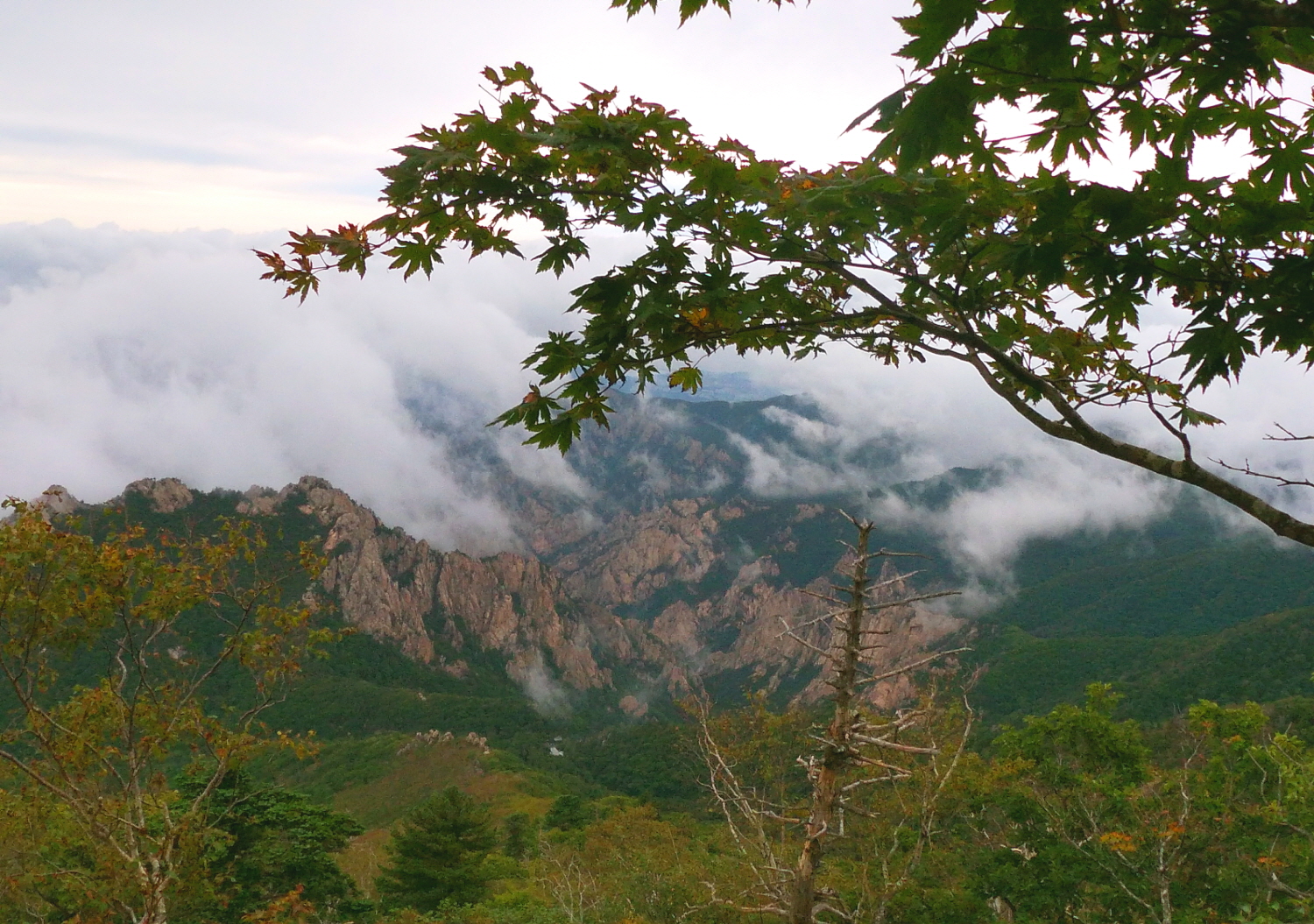 설11.jpg