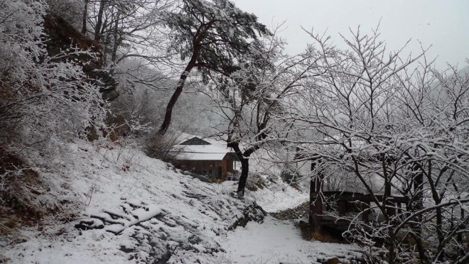 덕산터 겨울.jpg