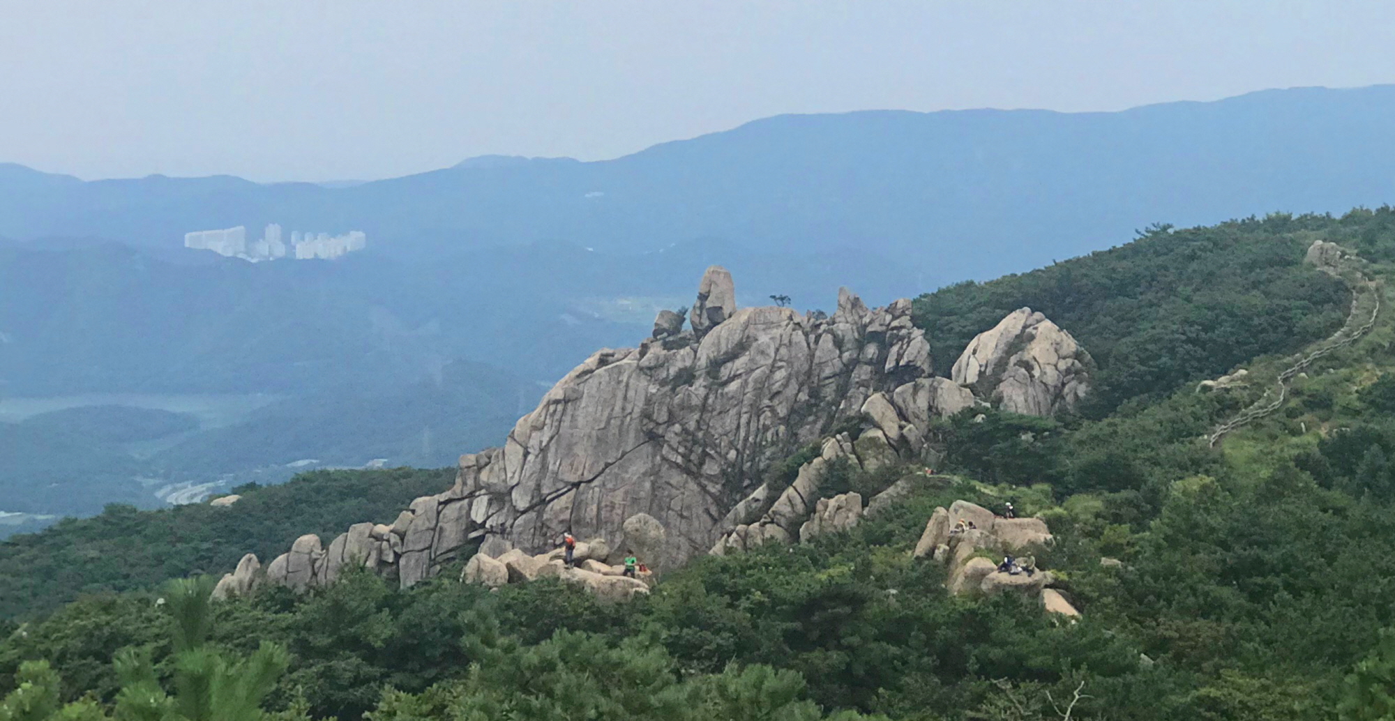 거북2.jpg