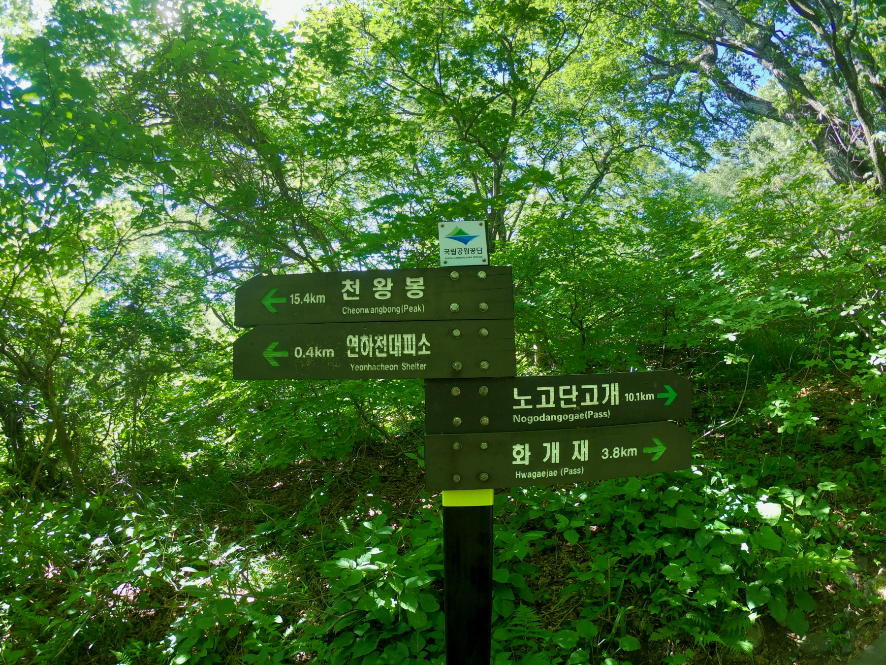 꾸미기_GOPR2755.JPG
