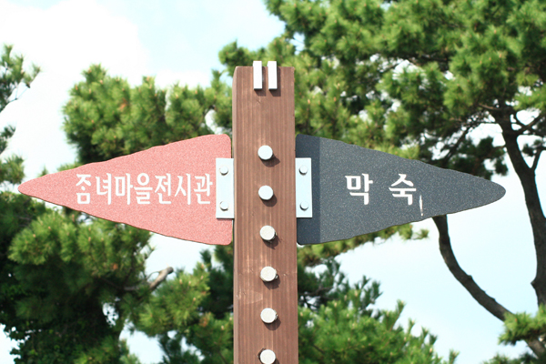제주9.jpg