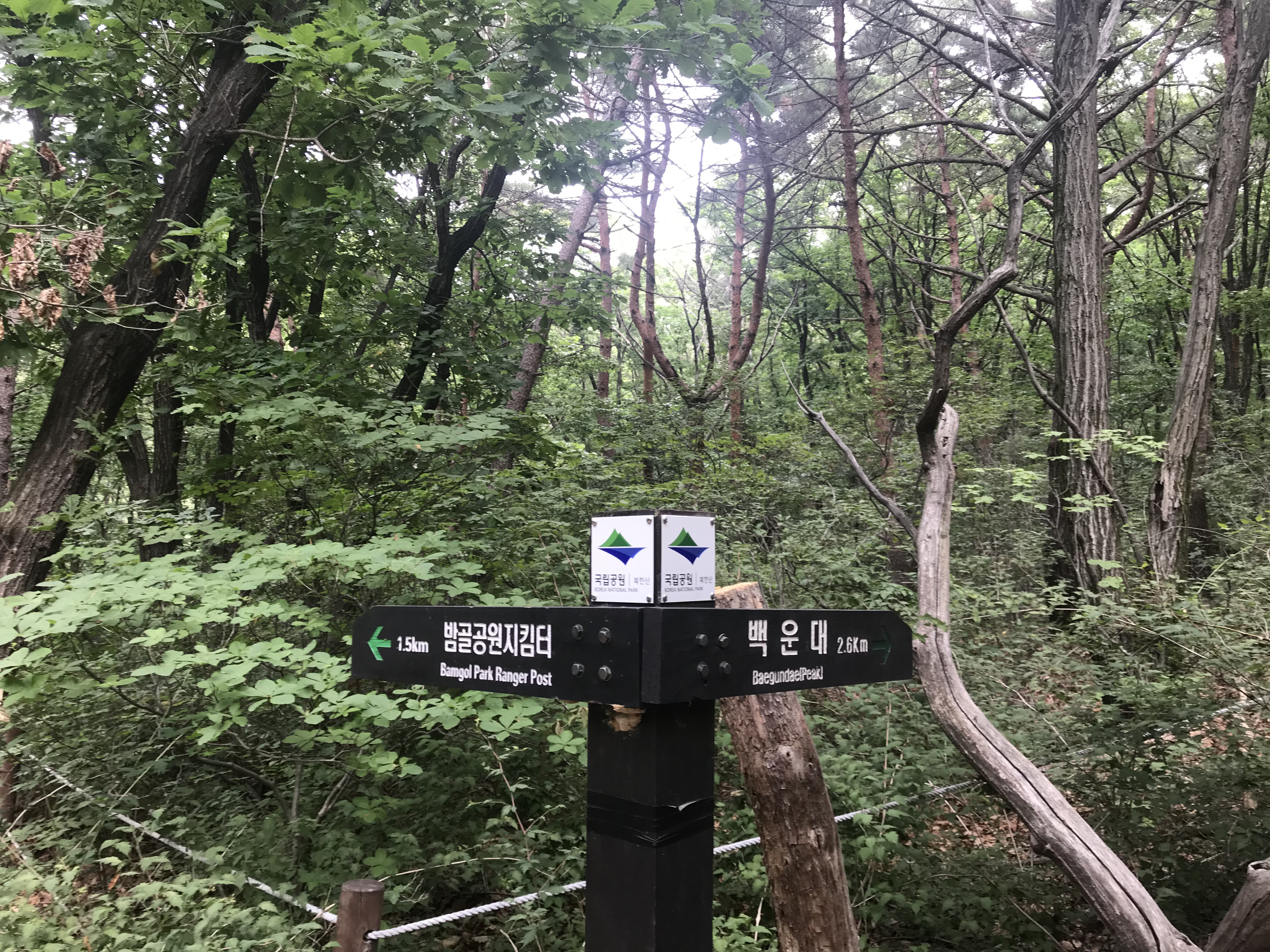 사본 -1.jpg