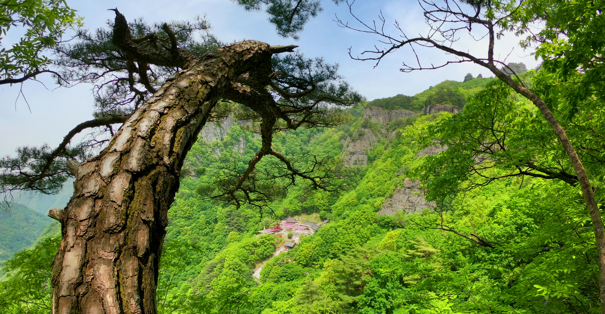 메인.jpg