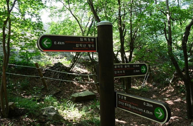 감20.JPG