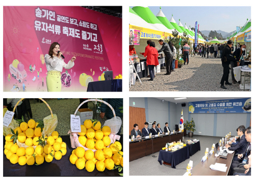 고흥군.jpg
