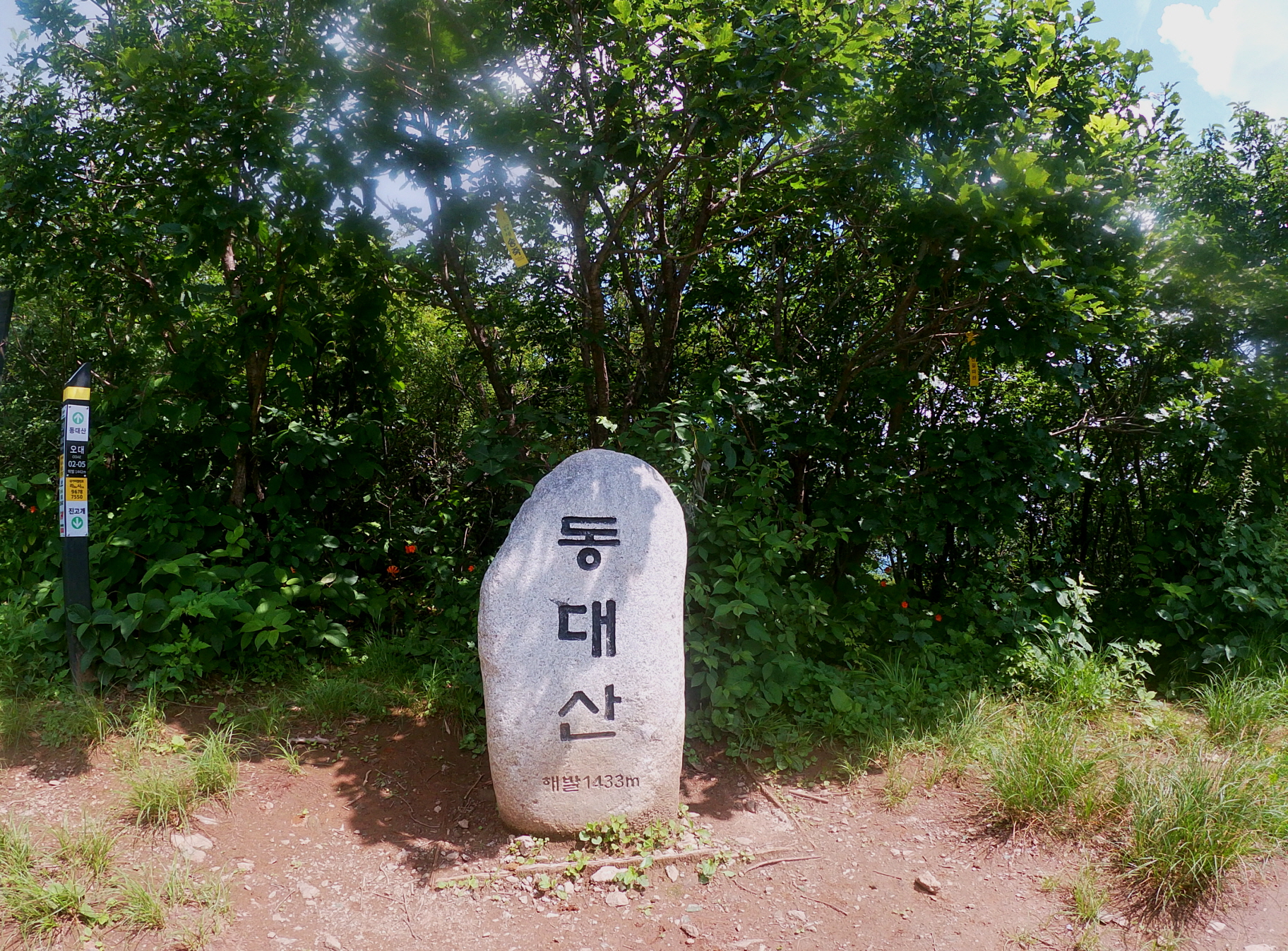 오6.jpg