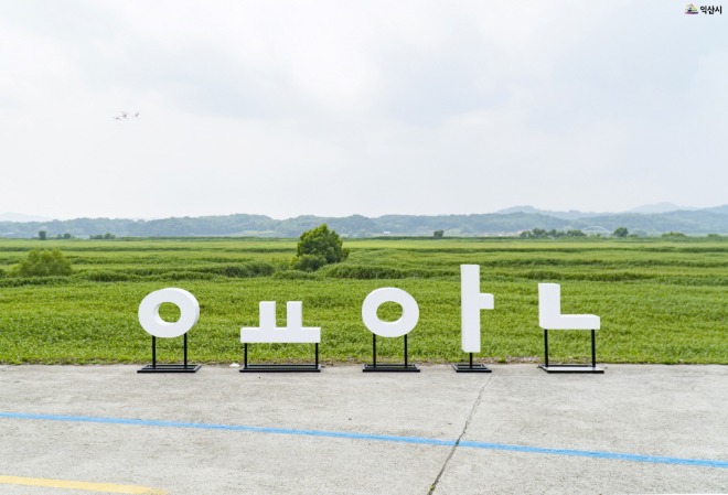 용안2.jpg
