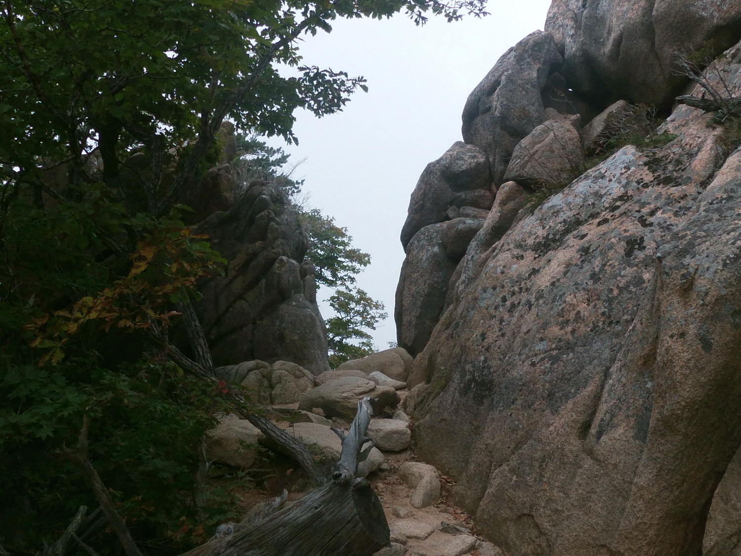 설19.jpg