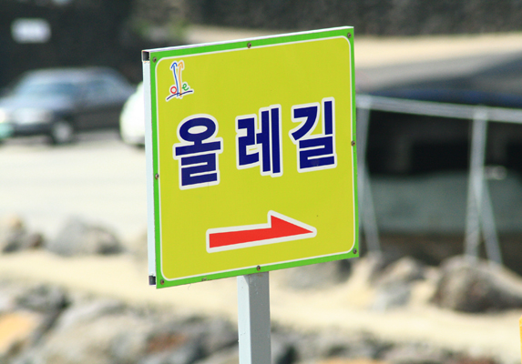 제주6.jpg