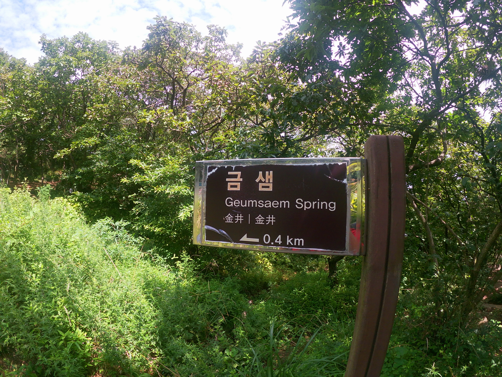 금샘1.jpg