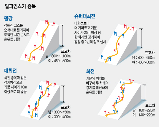 평창이슈2.jpg