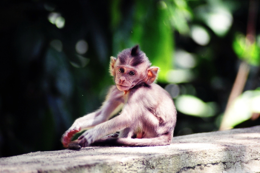 pensive-2342568_1920.jpg