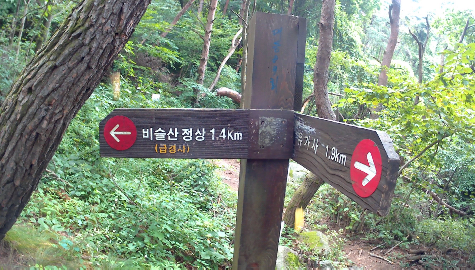 표지판7.jpg