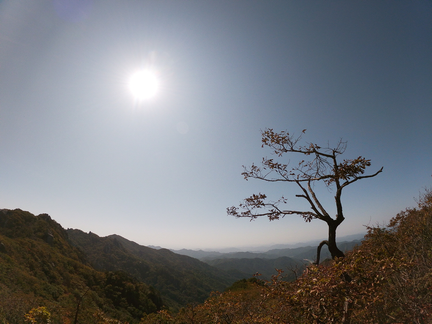 [꾸미기]GOPR2451.JPG
