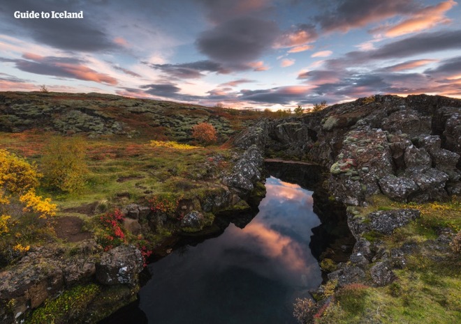 싱벨리어.jpg