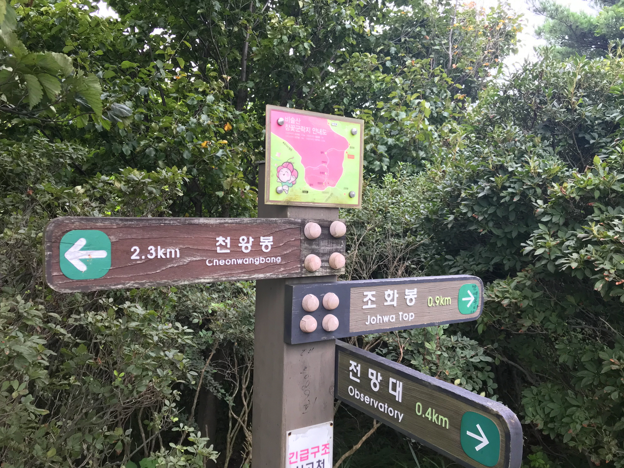 장상표지1.jpg