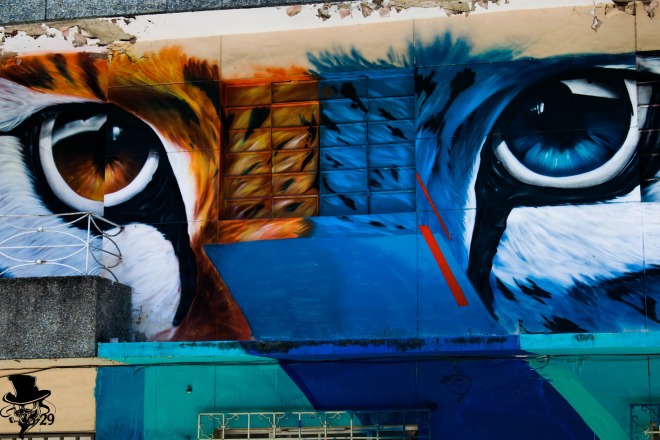 graffiti-2541926_1920.jpg