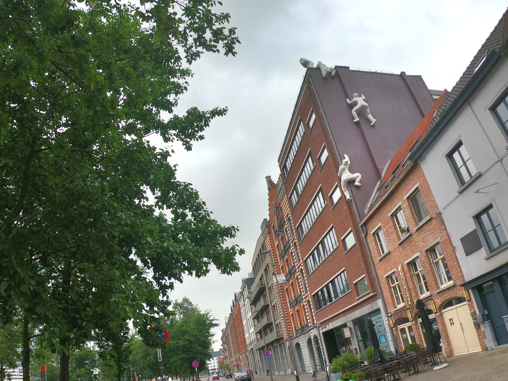 마스8.JPG